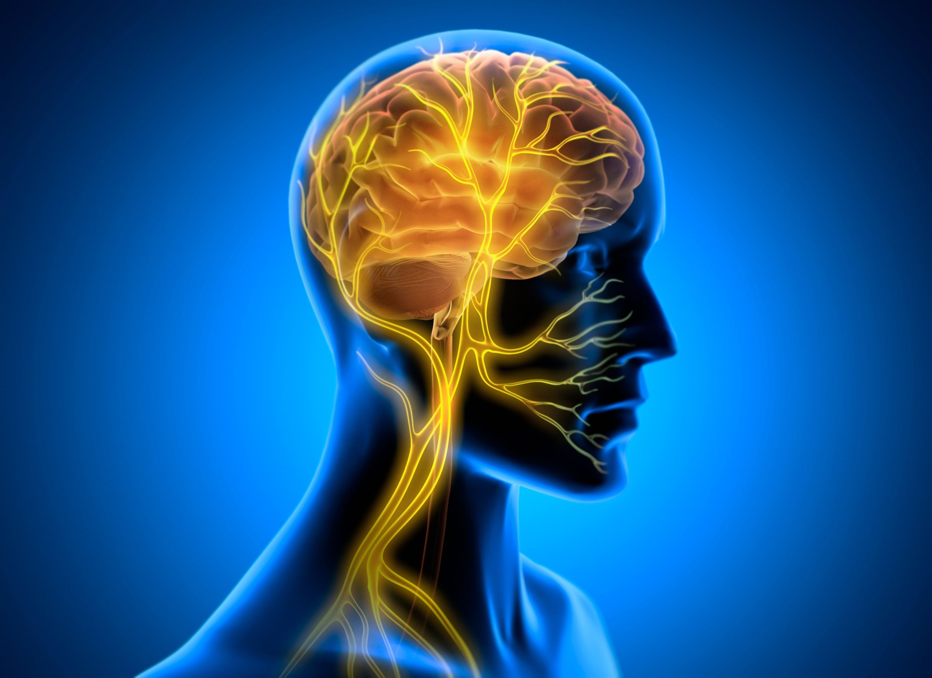 Learn to regulate your nervous system on demand for total calmness. 